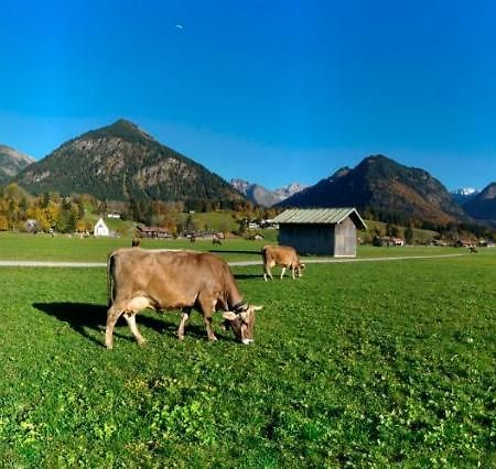 Bergpanorama Lägenhet Oberstdorf Exteriör bild