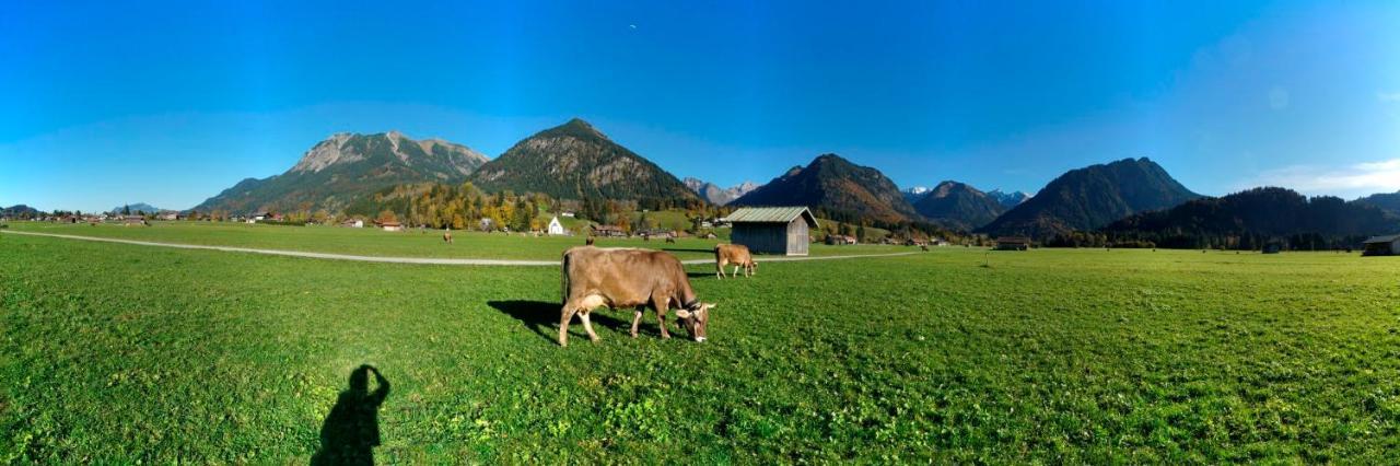 Bergpanorama Lägenhet Oberstdorf Exteriör bild